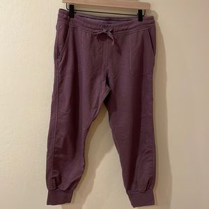 Women’s Patagonia Cropped sweatpants, size medium
